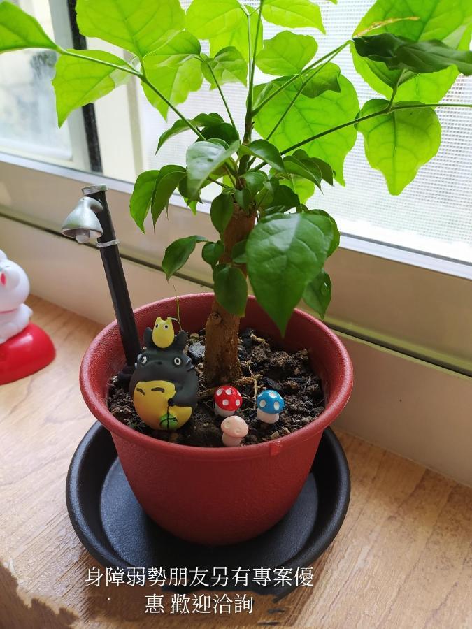 Non-Profit Bee Home 基隆 外观 照片